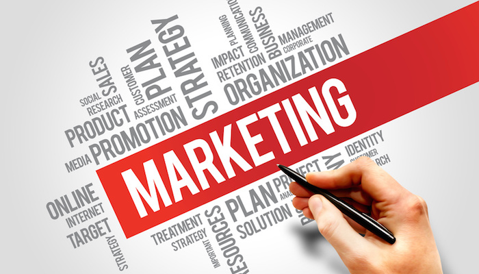 Công ty TNHH Vico tuyển trưởng bộ phận Marketing